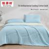 Hengyuanxiang Summer Cooling Quilt