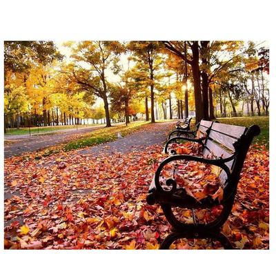 Pittura Diamante Scenari Autunnali Kit Mosaico Ricamo Diamanti Tondi Completi Pittura Adesivo da Parete