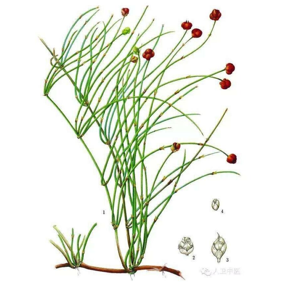 250 г Китайский зеленый чай Мохуан Травяной цветочный чай Натуральный травяной цветочный — фото 8