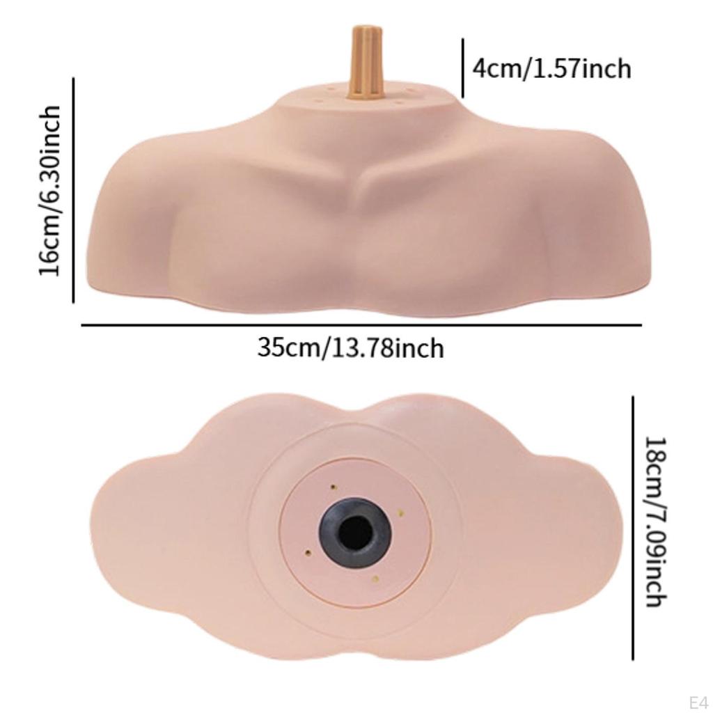 Mannequin Head Stand Shoulder Model Bust Professional Cosmetology Manikin Display for