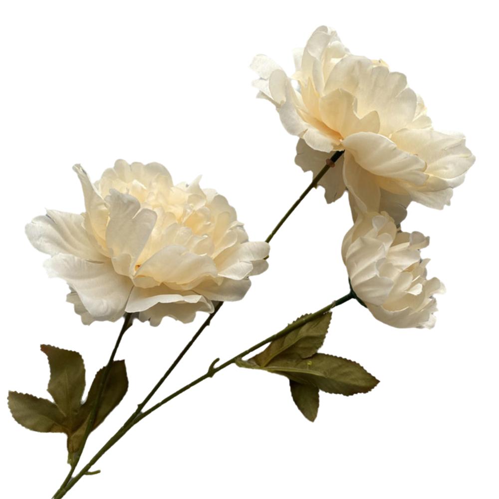 3 Heads Lifelike Flowers Multicolor Faux Flower Peony Peony Artificial Flower  Home Decoration