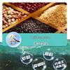 Fishing King Hellcat All-Season Carp Bait Granules