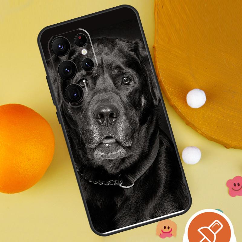 Labrador Puppy Dog Phone Case For Samsung Galaxy S25 Ultra S24 S23 S22 S21 Ultra S9 S10 Plus S20 FE Funda Cover