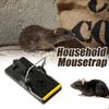 Mouse Trap Kit Pied Trap High Quality Easy Safe Platoon