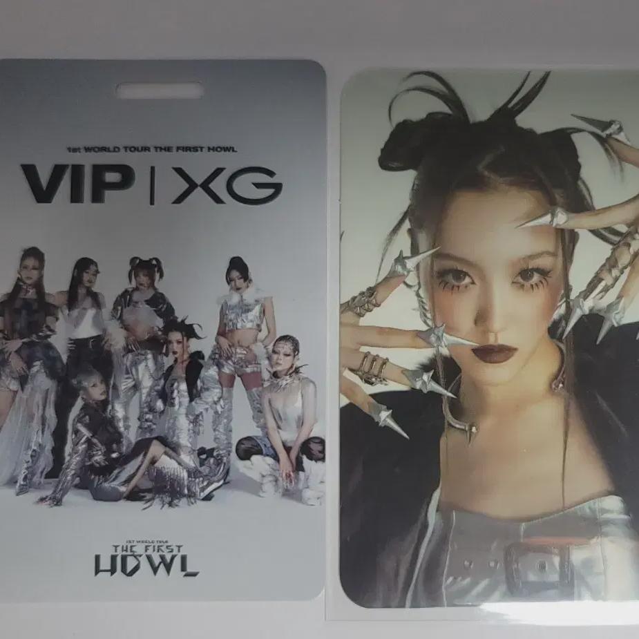 

Фотокарточка VIP-пакета концерта Xg