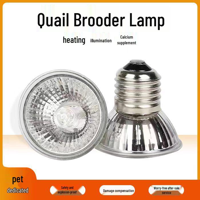 Glühbirne zur Reptilienheizung: Schildkröten Sonnenplatz UVB & Kalzium Ergänzung