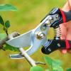 Garden Scissors SK5 Steel Horticultural Scissors for Garden Tree Rough Branch Pruning Fruit Picking Floriculture Hand Tools