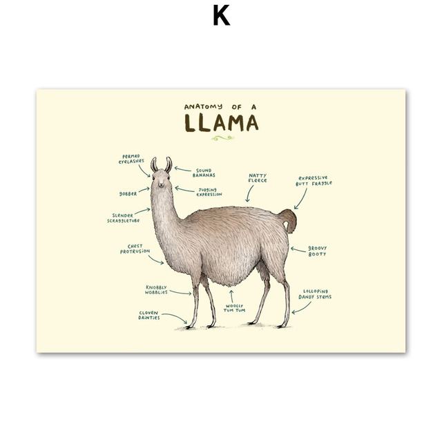 Flamingo Fox Sloth Sheep Animal Anatomy Wall Art Canvas Painting Nordic Posters And Prints Wall Pictures For Living Room Decor No Frame