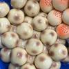 Fried Potato Shaped Stress Ball Squeeze Toy Moldable Non-Bounce Squeeze Ball Asmr Sensory Anti Stress Fidget Toys For Adult
