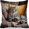 Sofa Pillow Pillowcase Skin-friendly Short Plush Cute Animal Cat Pillow Cover Living Room Cushion Cover Without Core