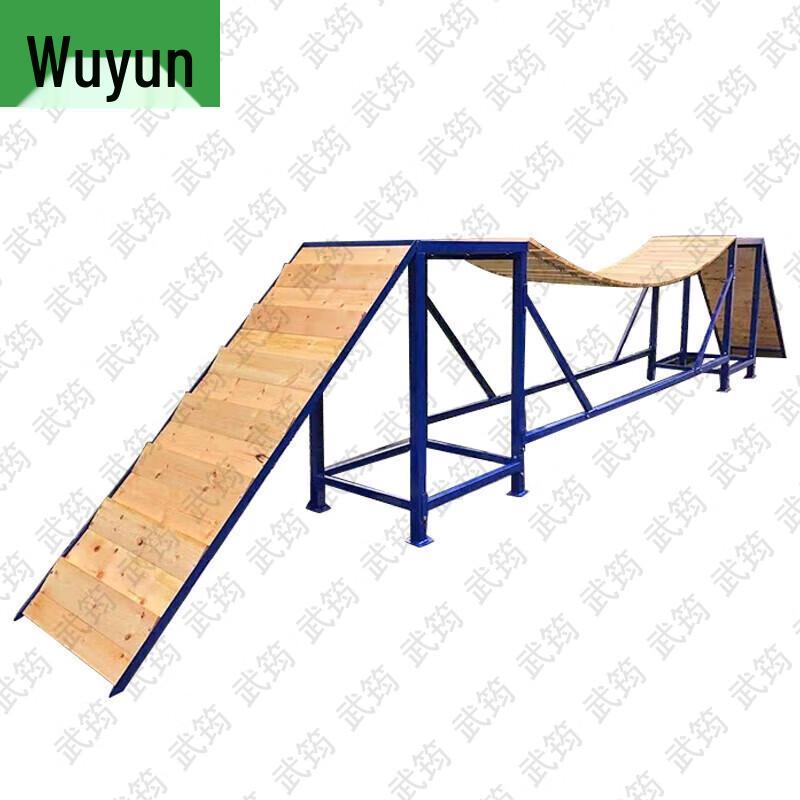 Professional Dog Training Seesaw