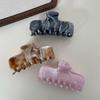 Korean Style Acetate Hair Claw Clip for Women - Jelly Design Bun/Bangs Accessory