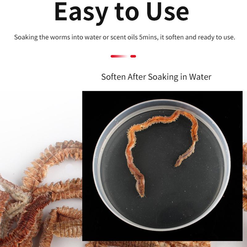 Natural Dry Sandworm 10G Fishing Lures Outdoor Angling Tournament Seductive Food Carp Catching For Winter Ice Sea Fishing