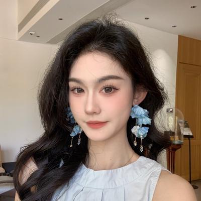 Flower Zircon Pearl Fabric Fringed Earrings Temperament Fashion Versatile Earrings Exquisite High Sense Earrings Women