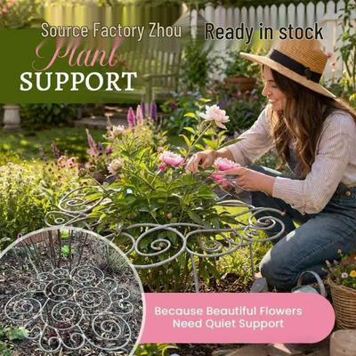 Flower-Shaped Iron Plant Support Frame for Borders