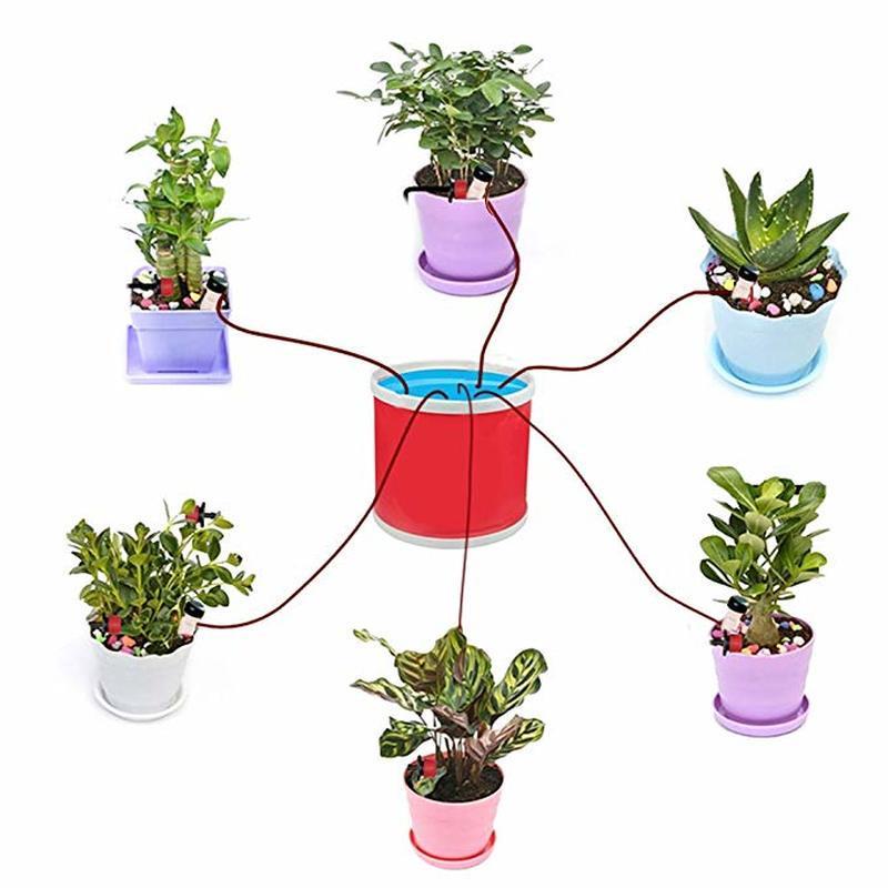 2 Stck Bewsserungskegel Wasserspender fr Zimmerpflanzen Lazy Sprinkler  gnstig kaufen  Preis, kostenloser Versand, echte Bewertungen mit Fotos   Joom