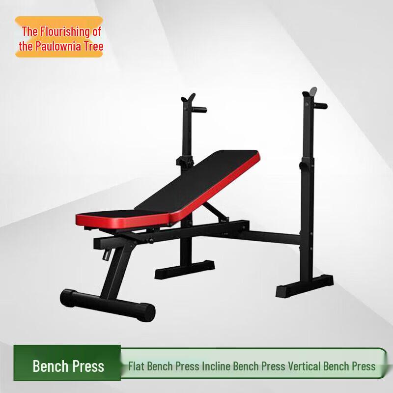 Home Bench Press & Squat Rack