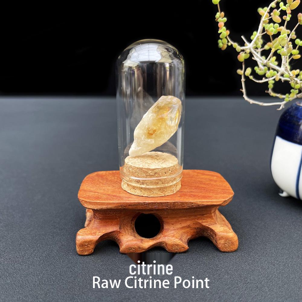 Natural Raw Stone Gemstone Mineral Crystal Ornament for Student Science Exploration Collection