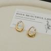 Gold Teardrop Zircon Stud Earrings for Women – Luxurious, Versatile, & Fashionable Ear Jewelry