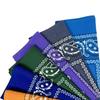 Cotton Paisley Headscarf and Cycling Mask