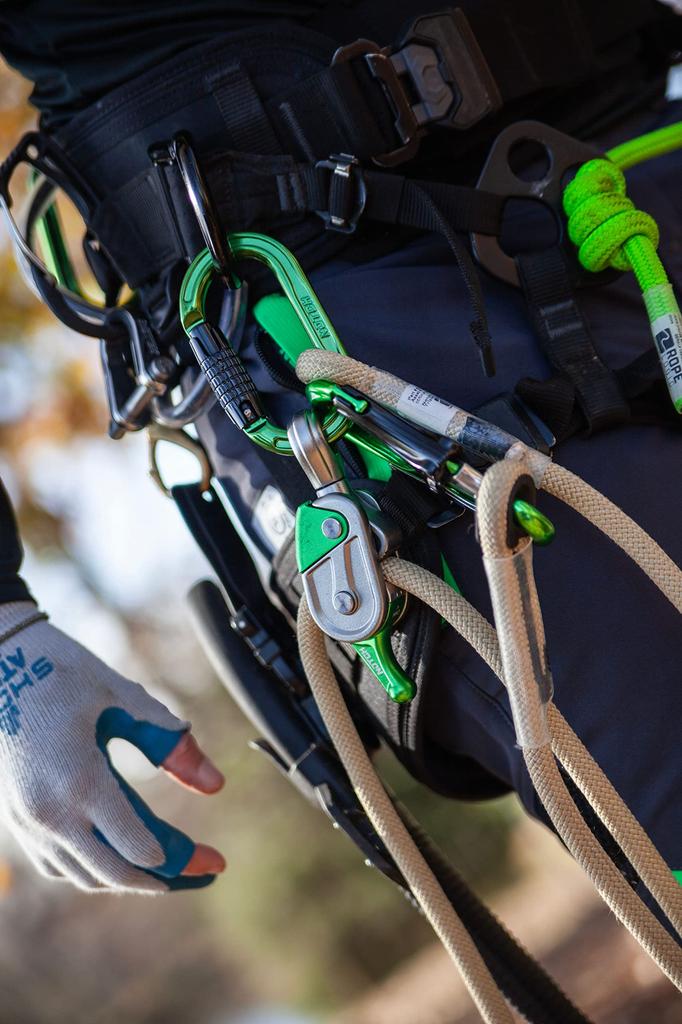 Notch Absolute Oval Aluminum Carabiner (54441)