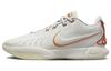 Nike LeBron 21 'Akoya' FV2345-001