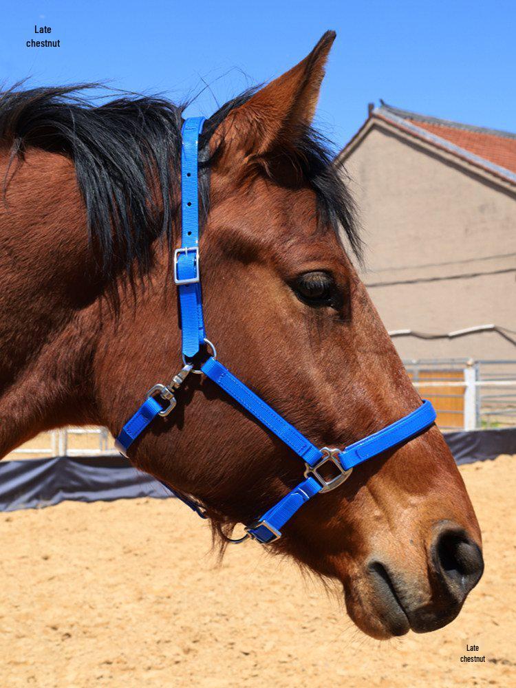 TPU Adjustable Durable Horse Halter and Leading Equipment
