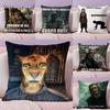 Hey Du Du Bist Endlich Wach SSkyrim Meme Kissenbezug Plüschstoff Weich Zweiseitig Bedruckt Sofa Warmes Zuhause Kissenbezug