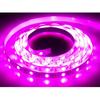 LED Grow Light Waterproof Indoor Veg Plant Growing Lamp Plant Grow LED Light for Plants Flowers Greenhouse Hydroponic 1M 2M 2M 5M