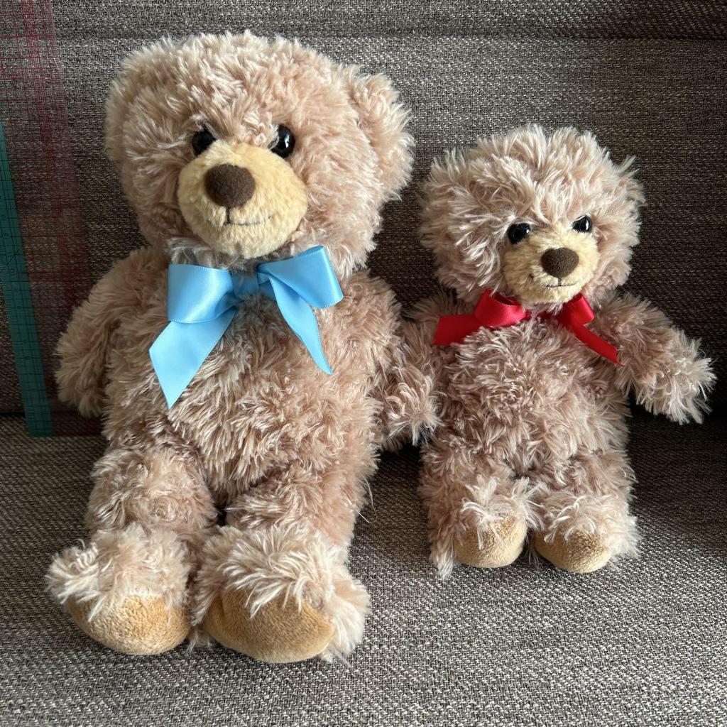 [USED] DAISO Honey Teddy Bear Plush Toy