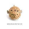 Realistic Pufferfish Model Ocean Sea Life Marine Animal Aquarium Ornament Cognitive Action Figure Educational Toy for Kids