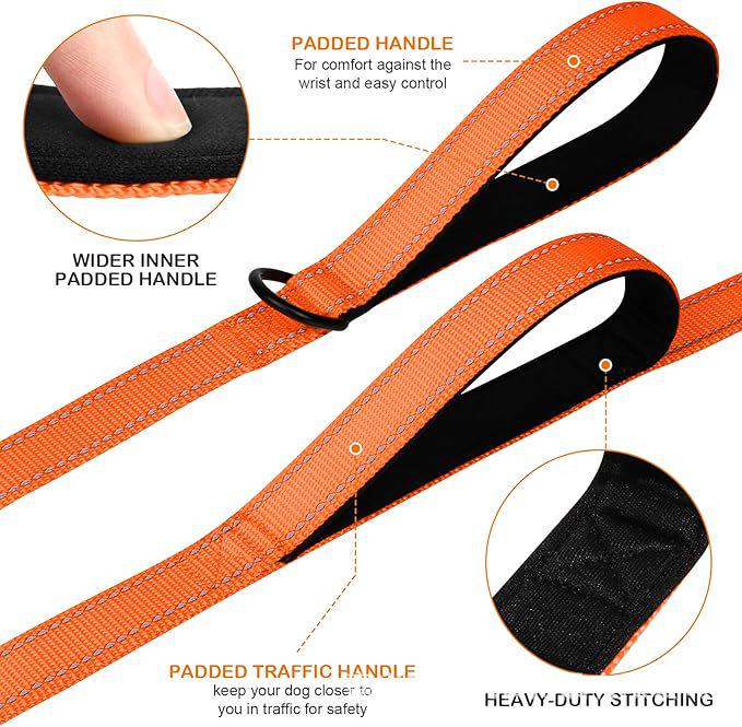 Double Layer Explosion-Proof Reflective Dog Leash - Shock-Absorbing, Thickened Pet Leash