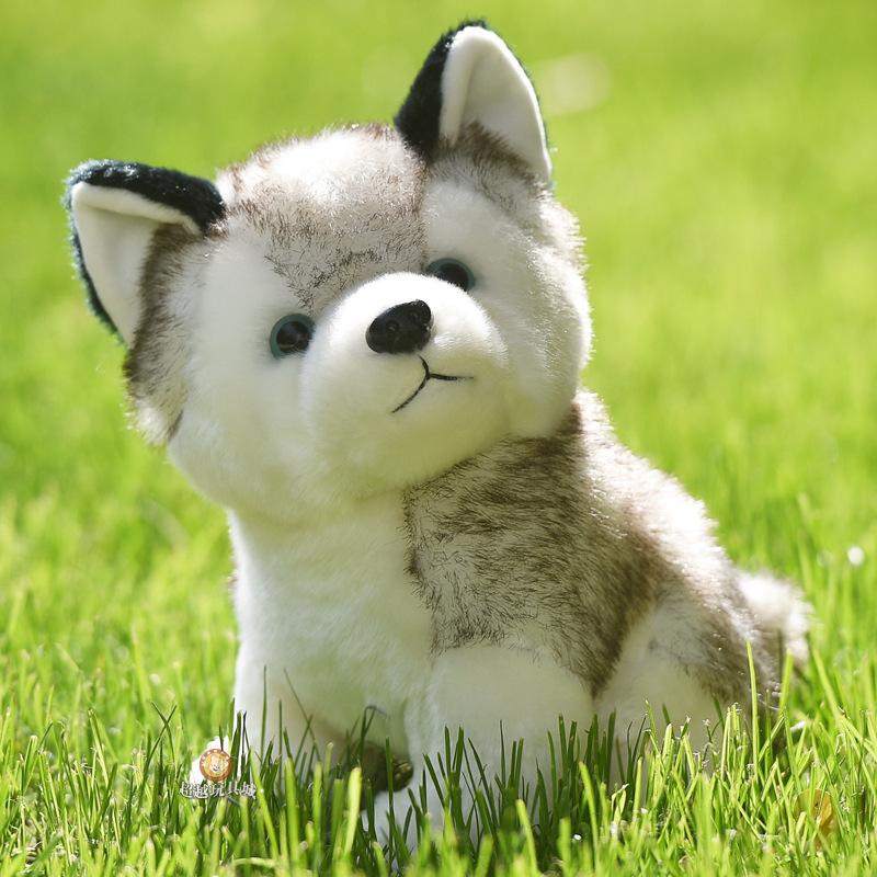 Realistic Husky Puppy Plush Toy, Small Size, Cute Teddy Dog Toy Gift