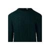 Polo Ralph Lauren Solid Color Crew Neck Long Sleeve Pullover Sweater Men Sweater Green 710949800-001