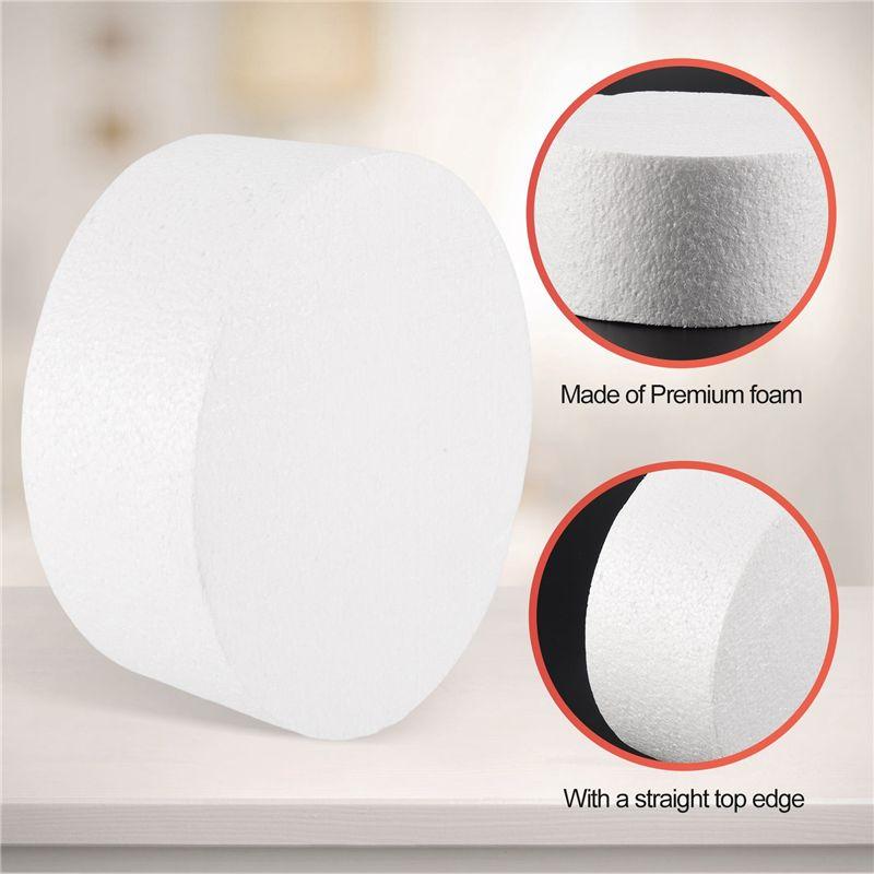 2025 Trend Round Cake Dummy (6 Inch)