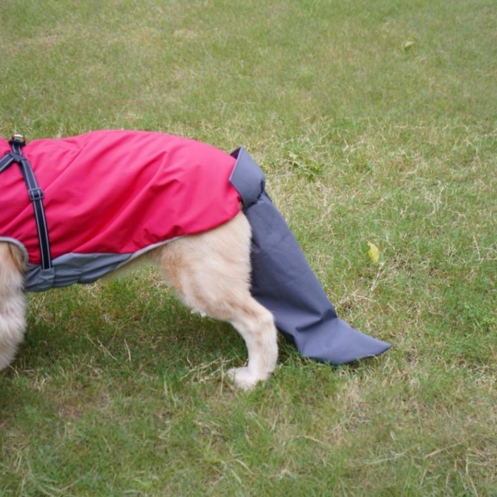Waterproof Dog Tail Protect Cover Washable Easy To Wear Dog Tail Raincoat Comfortable Breathable Dog Hoodie Vest Accessories