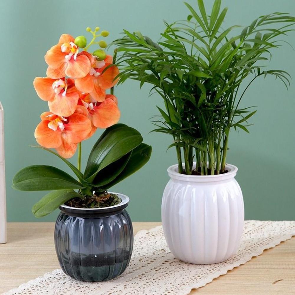 Nordic Style Water-Absorbing Flowerpot Transparent Automatic Watering Planter Garden Decor