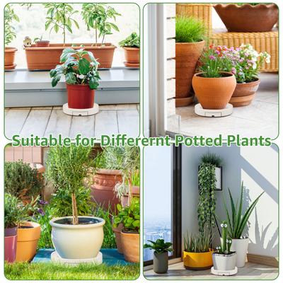 Wheeled Plant Stand Tray Plant Dish Flowerpot Tray Flower Pot Accessories 360° Casters 30 Cm Diameter Bottom with Water Tank