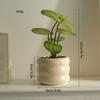 Decorative Artificial Potted Plant Small Size, Nordic Style Faux Green Bonsai for Indoor Desk Decor