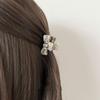 Ponytail Holder Acetate Claw Clip Korean Style Bowknot Hair Clip Vintage Bow Hair Claw  Ladies