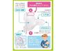 Beanstalk Baby Baby Wide Mouth Tritan 240ml Bottle, Friendly, Bottle,
