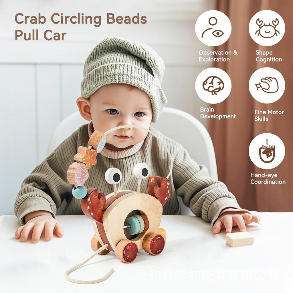 Crab Car: Wooden Bead Maze & Rattle for Baby Learning