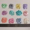 Mother of Pearl Shell Abalone Slivers: Nail Art, Hair Accessories, Resin Jewelry Materials