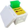 Queen bee breeding Box bee apidea mating nuc hive Queen Rearing nucs Mini bee Hives Beekeeping mating hive Box
