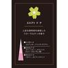 Esteban Esprit de The Car Fragrance Refills (2 refills)
