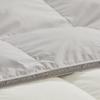 Mercure Home Textiles Antibacterial White Goose Down Winter Quilt