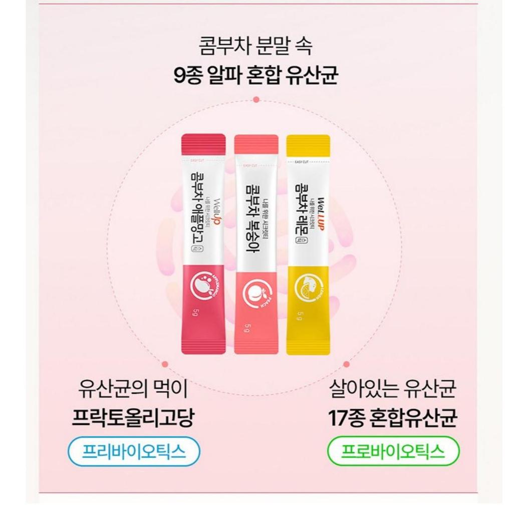 [Wellup] Kombucha Lemon Stick Powder 30 Sticks