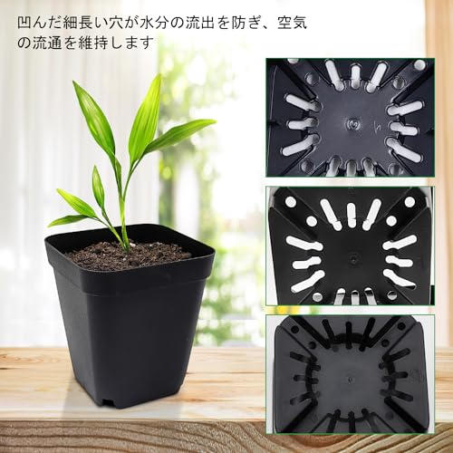 RooTrimmer Sämlingsbehälter, Größe 3, Set mit 40 Stück, Verhindert Wurzelfäule, Geeignet für Sukkulenten, PP-Kunststofftöpfe mit Schlitzdrainage, Wiederverwendbar, Mattes Finish, 9