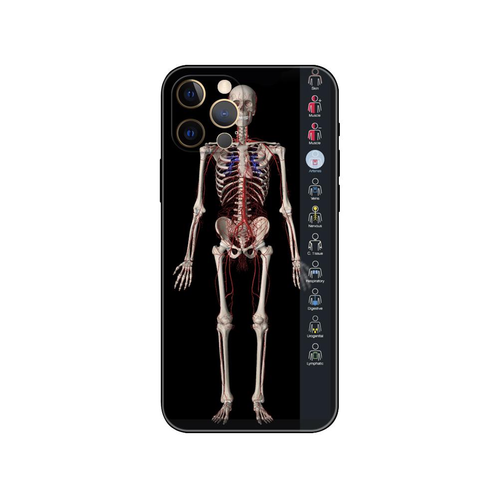 Human Skeleton Print Phone Case for Iphone 14 5s 2020se 6 6s 7 8 Plus X 10 XR XS 11 12 13 Mini Pro MAX Black Tpu Back Cover