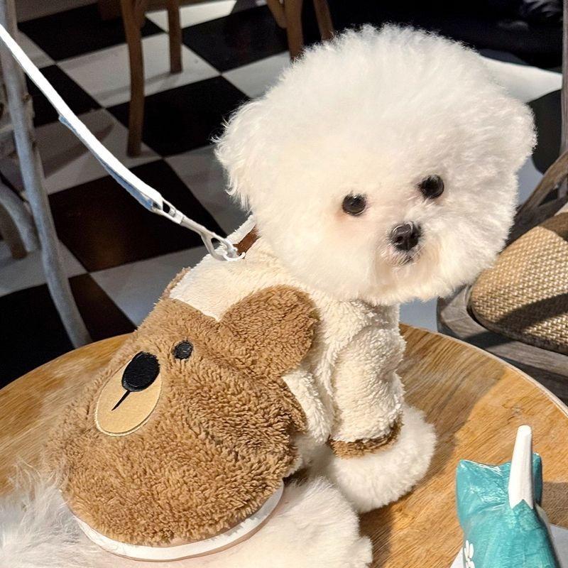 Ubranko dla szczeniaka z nadrukiem misia Jesień Zima Kostium dla zwierzęcia Misiek Mały pies Zimowa smycz Kamizelka z polaru dwunożna